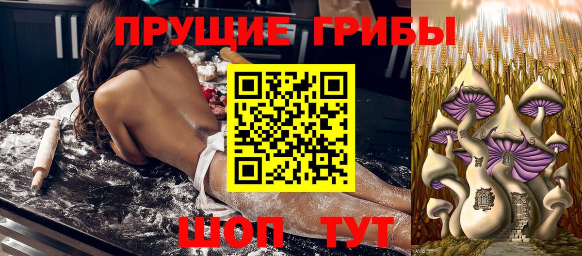 Галлюциногенные грибы GOLDEN TEACHER  Галлюциногенные грибы Psilocybe  Вход с VPN  Советский 