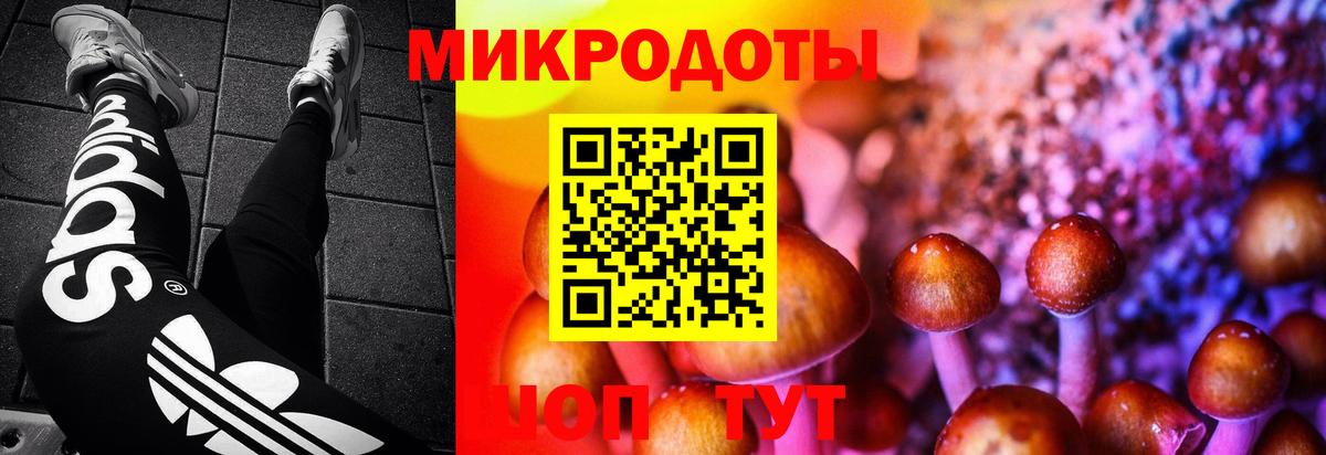 Галлюциногенные грибы ЛСД Советский